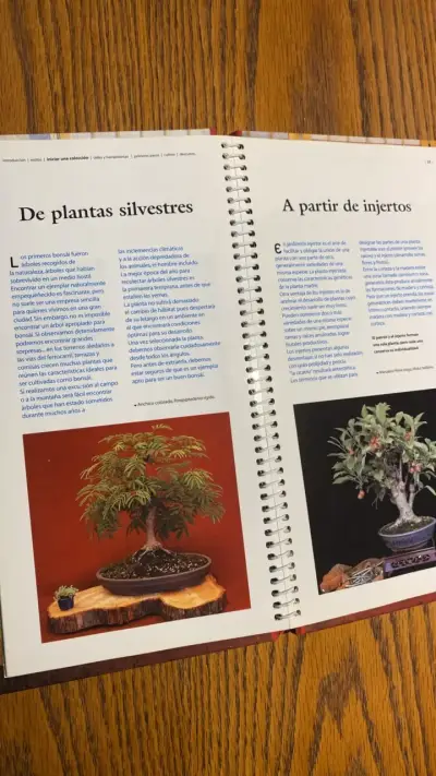 Libro Manual del Bonsai de Marita Gurruchaga - miniatura 3