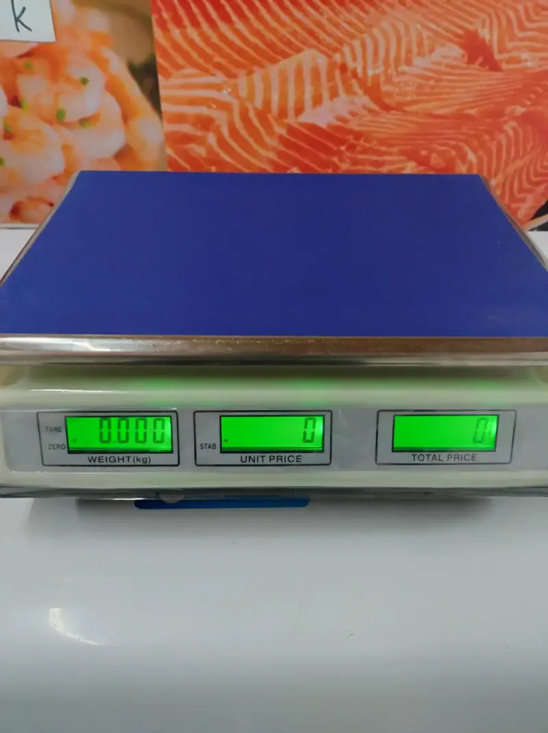 Balanza electrónica de precisión 30 kg - 2