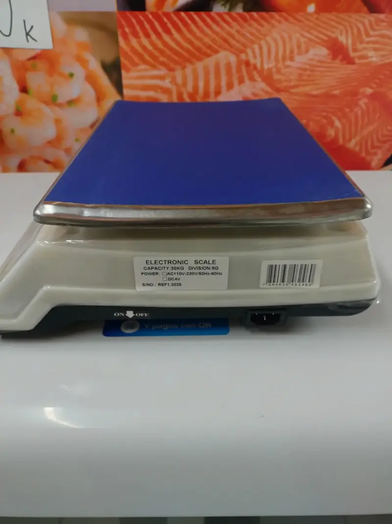 Balanza electrónica de precisión 30 kg - 3