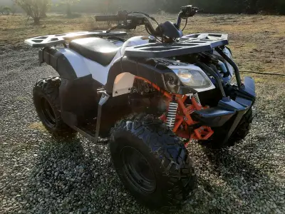 Cuatrimoto ATV todoterreno potente y resistente - miniatura 1