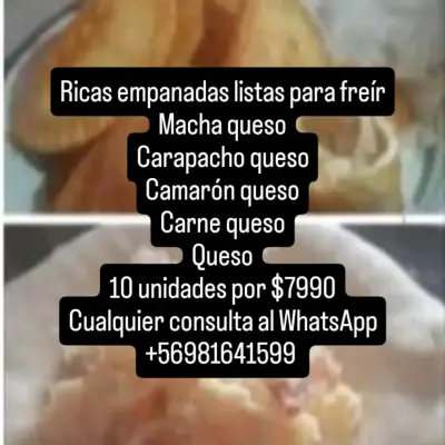 Empanadas listas para freír surtidas - miniatura 1