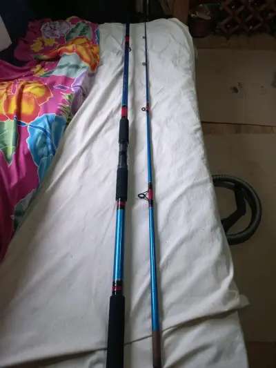Caña de Pescar Daiwa 376TL-36 Azul - miniatura 1