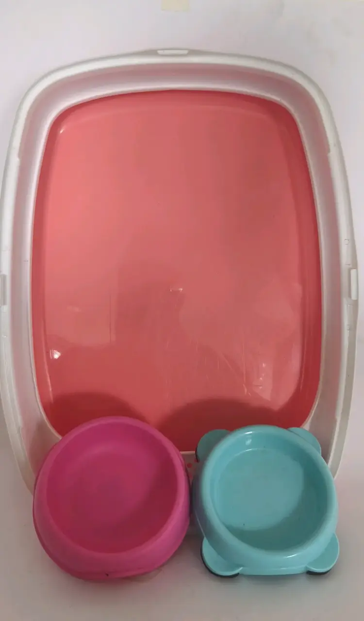 Set de accesorios para gato - 1