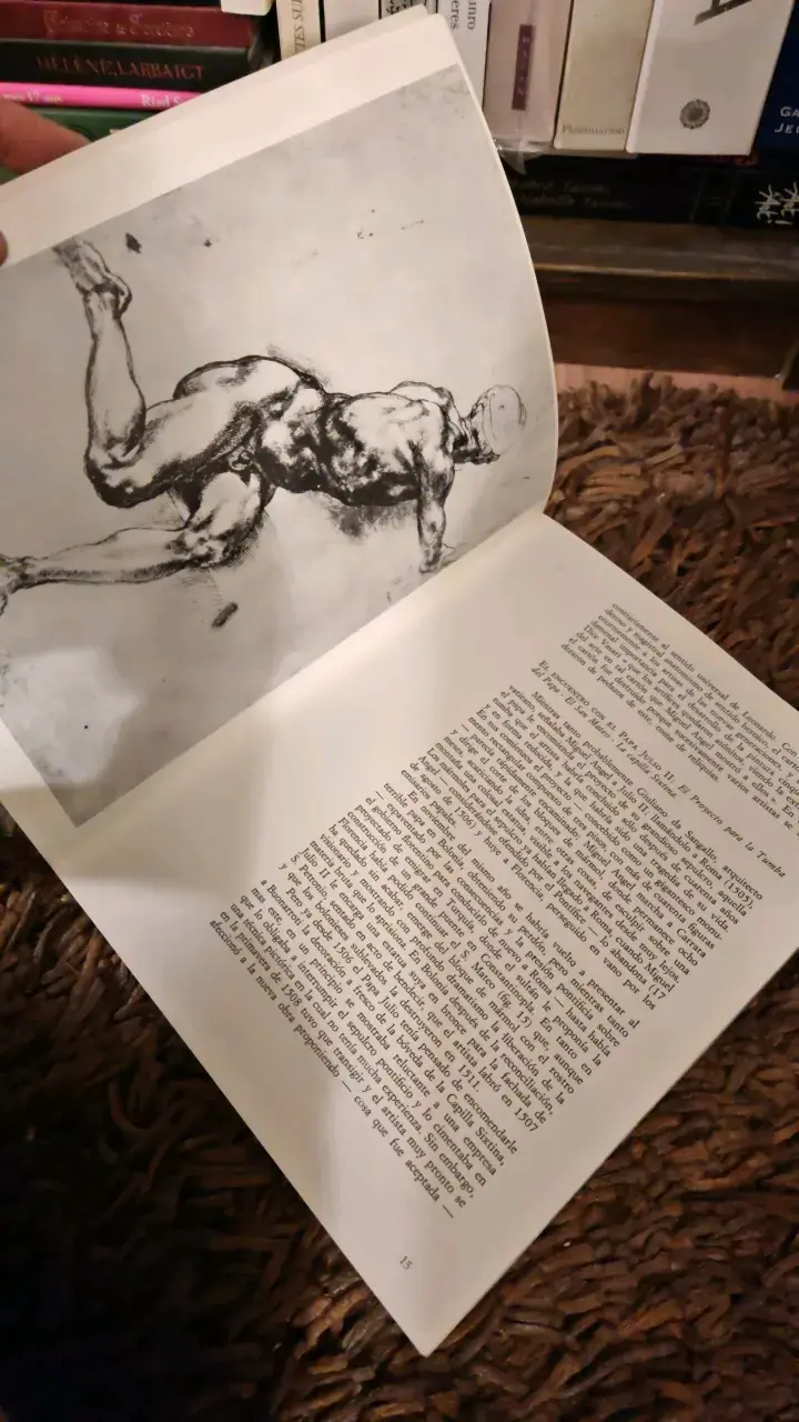 Libro Todas Las Obras De Miguel Ángel Luciano Berti - 2