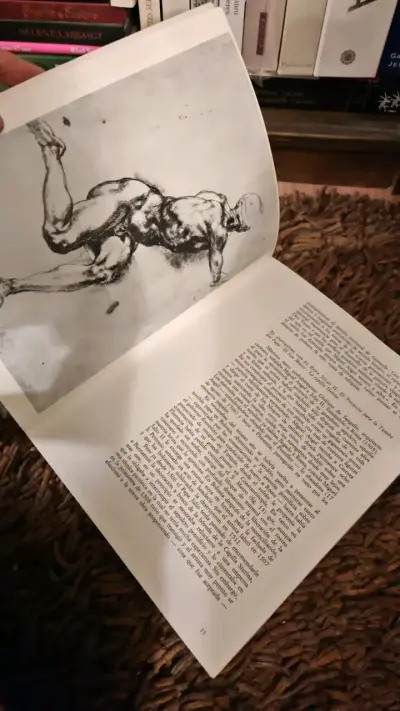 Libro Todas Las Obras De Miguel Ángel Luciano Berti - miniatura 2