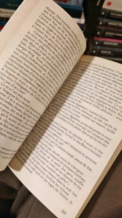 Libro 'American Gods' de Neil Gaiman en francés - miniatura 2