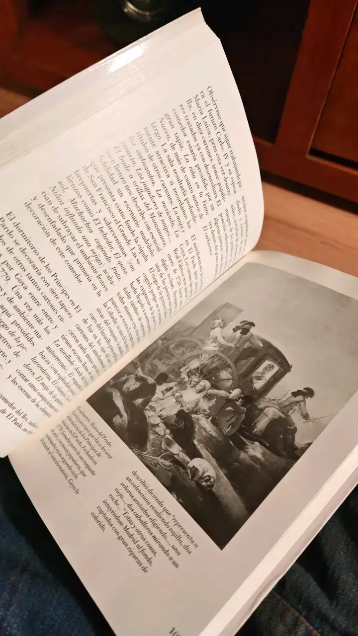 Libro 'Goya: Obra, Vida, Sueños' - 3