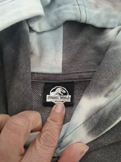 Polerón con capucha Jurassic World para niño - miniatura 4