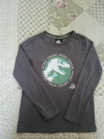 Polera manga larga Jurassic World gris para niños - miniatura 1