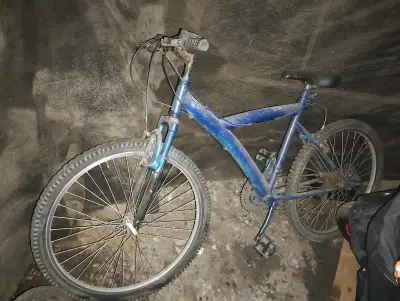 Bicicleta de Montaña Azul Usada - miniatura 1