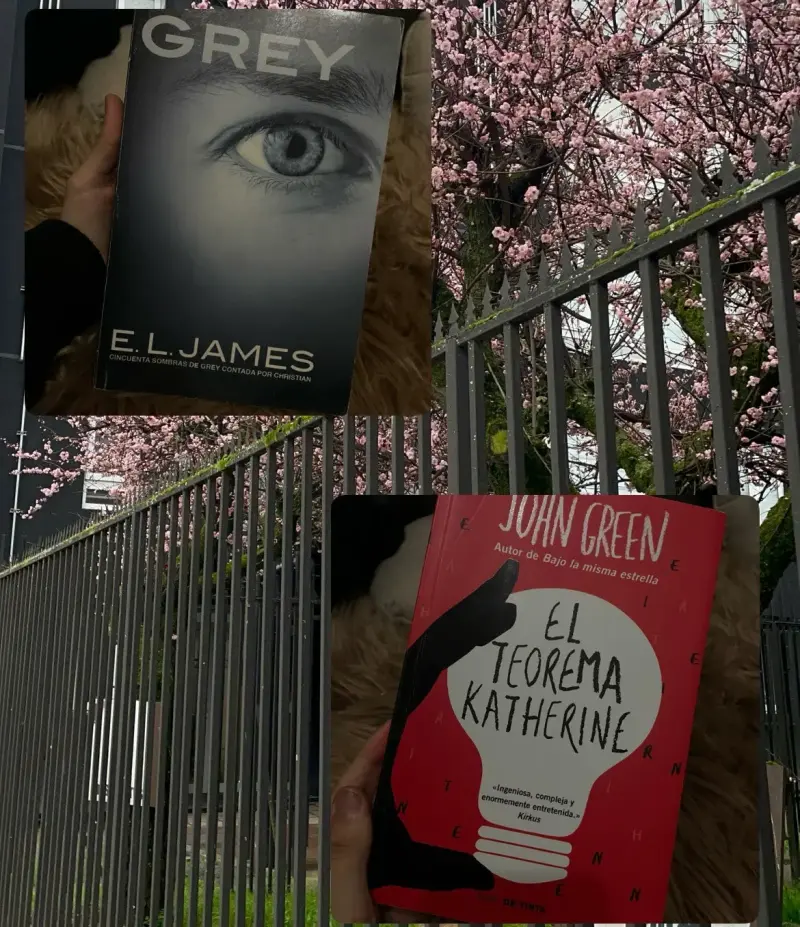 Libros Grey y El Teorema Katherine