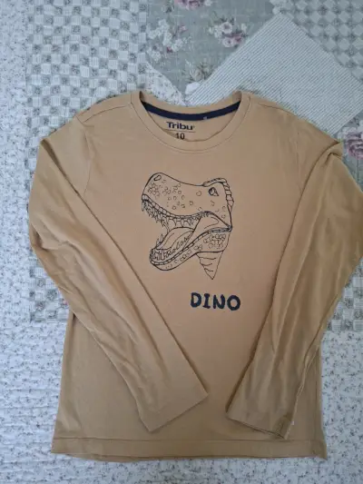Polera manga larga niño con diseño de dinosaurio - miniatura 1