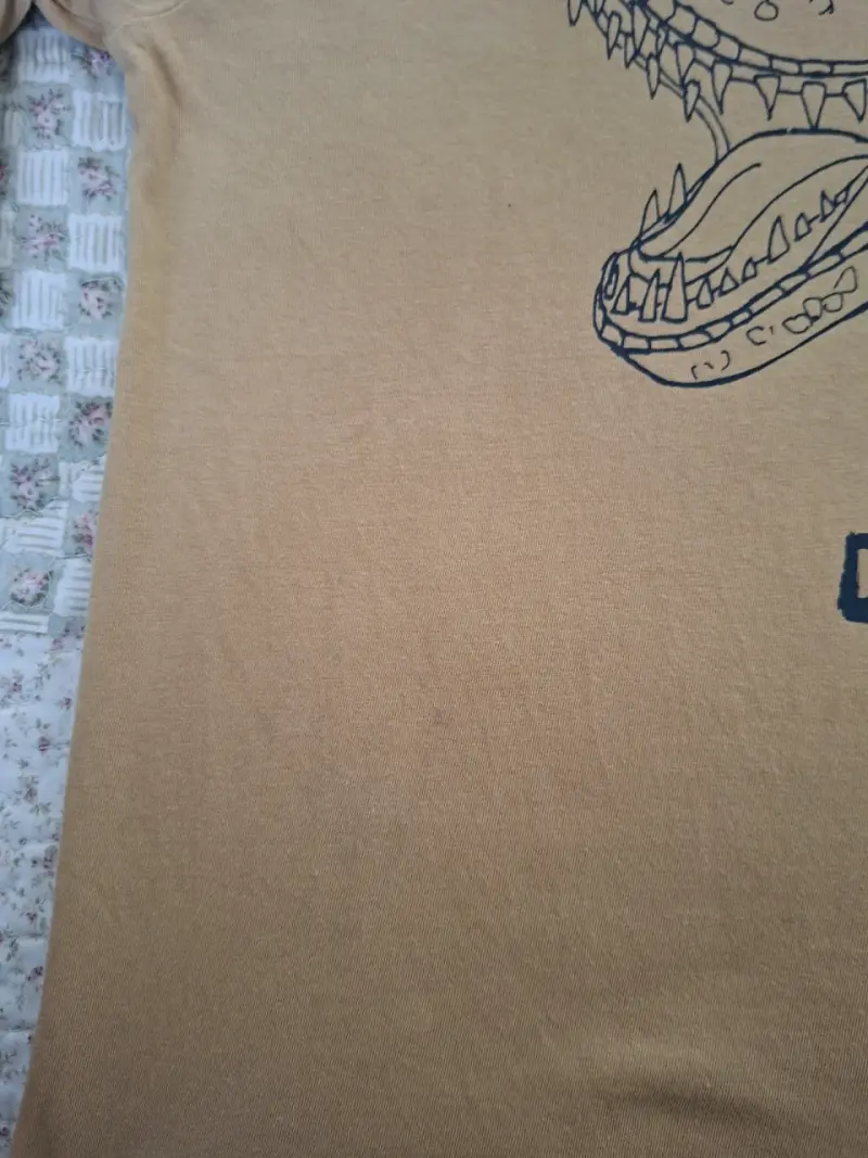 Polera manga larga niño con diseño de dinosaurio - 2