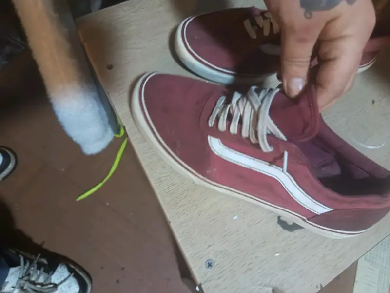 Zapatillas deportivas rojas con diseño clásico - 3