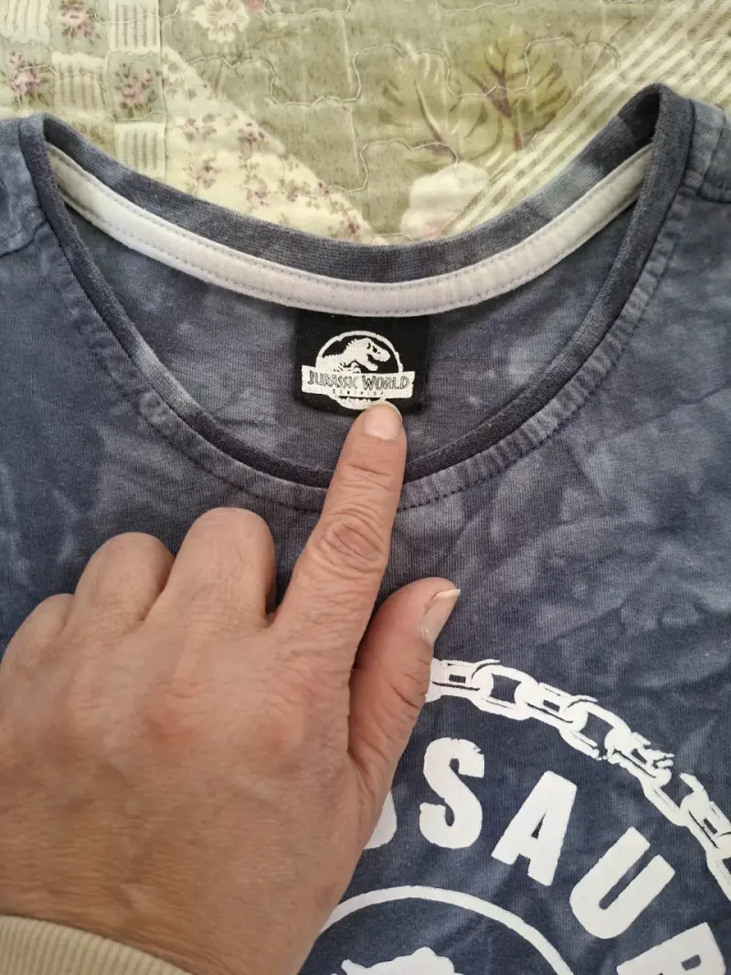 Polera manga larga Dinosaur Fight Ring para niños - 2