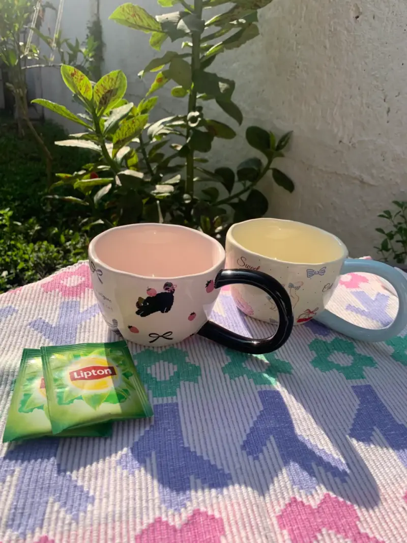Taza de cerámica varios  diseños y cajas organizad - 3