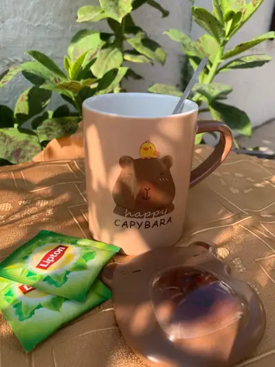 Taza de cerámica varios  diseños y cajas organizad - miniatura 4