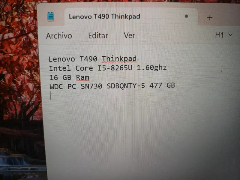 Laptop Lenovo ThinkPad T490 con Intel Core i5 - 4
