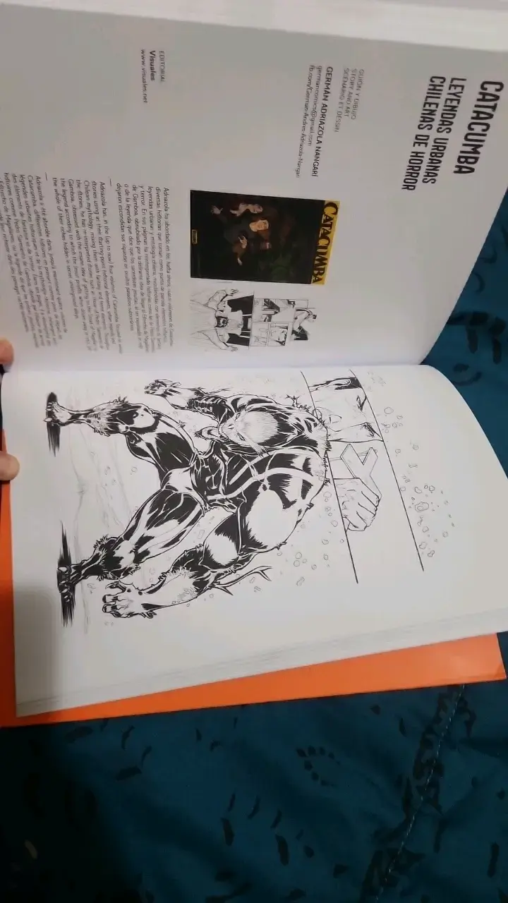 Libro 'Historieta Chilena Contemporánea' 2006-2016 - 5