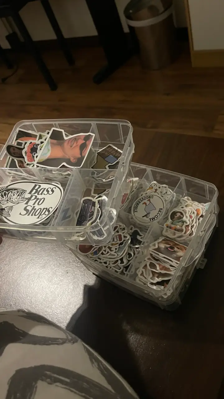 Caja organizadora transparente con stickers variados - 3