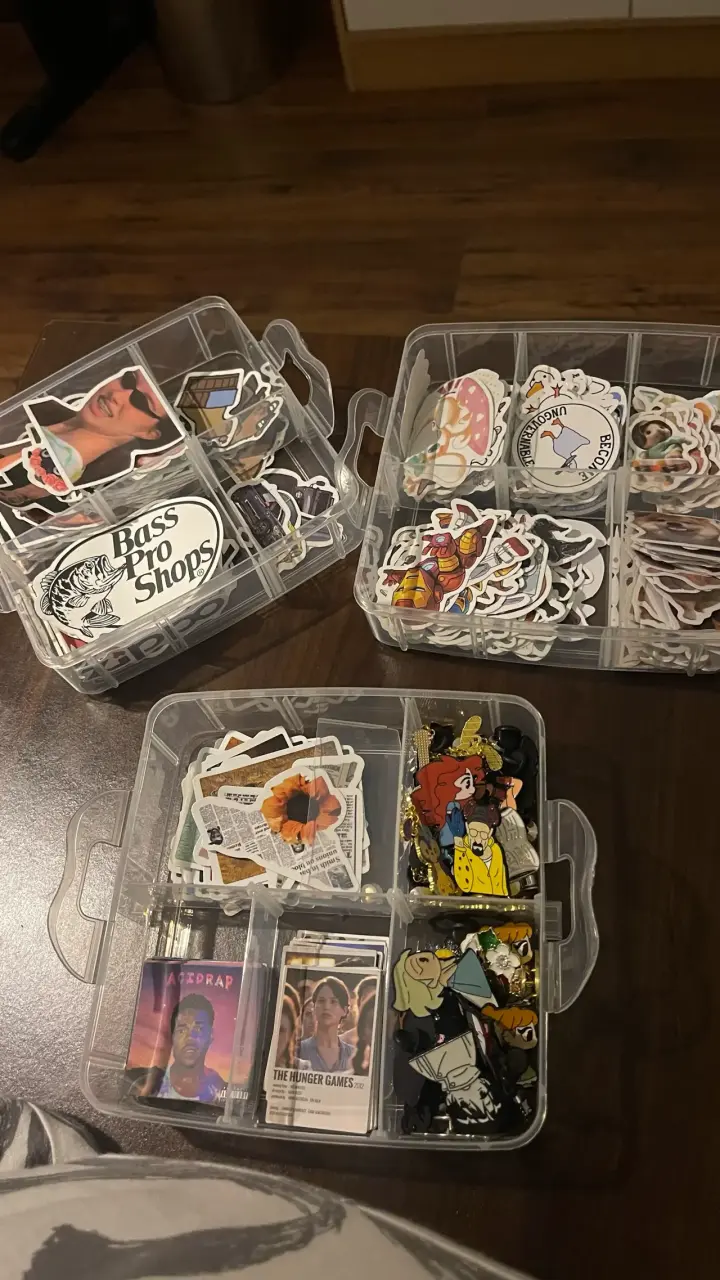 Caja organizadora transparente con stickers variados - 5