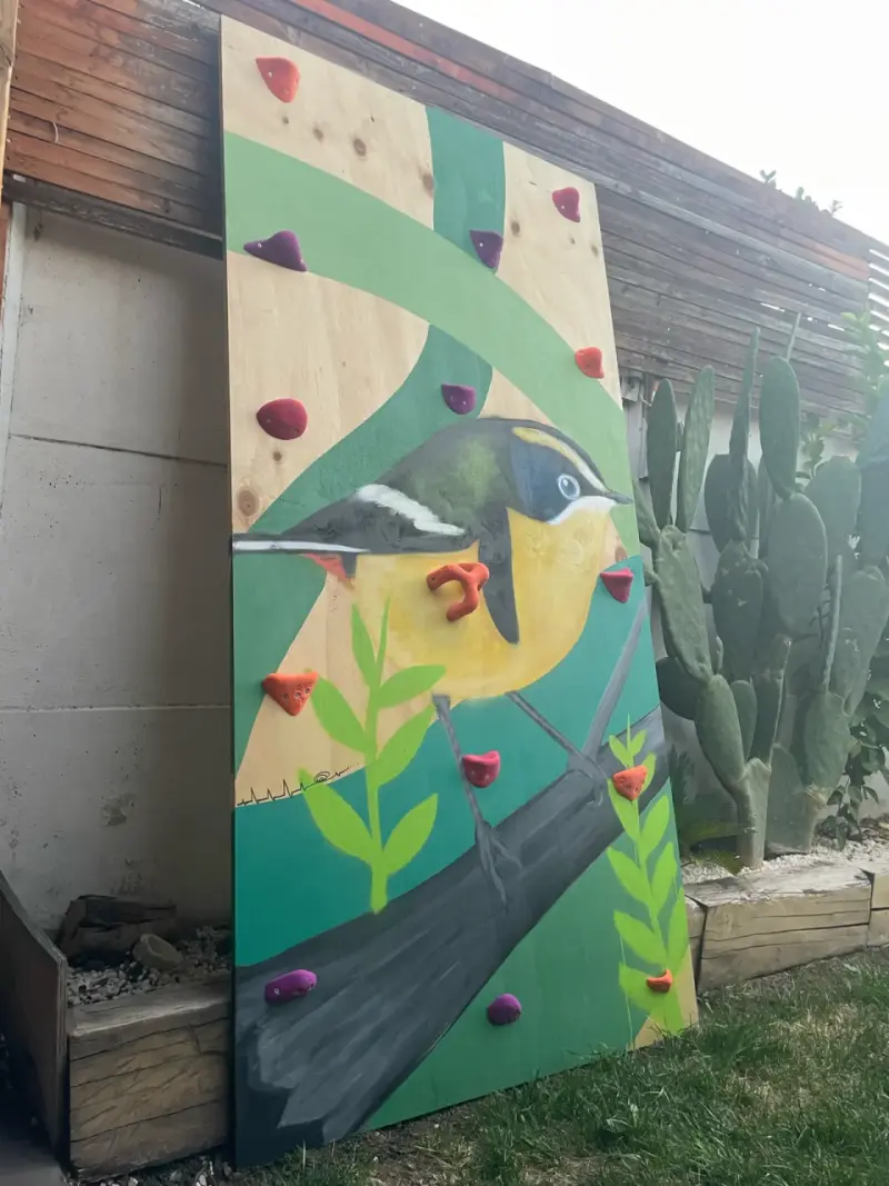 Panel de escalada para niños con diseño de aves - 2