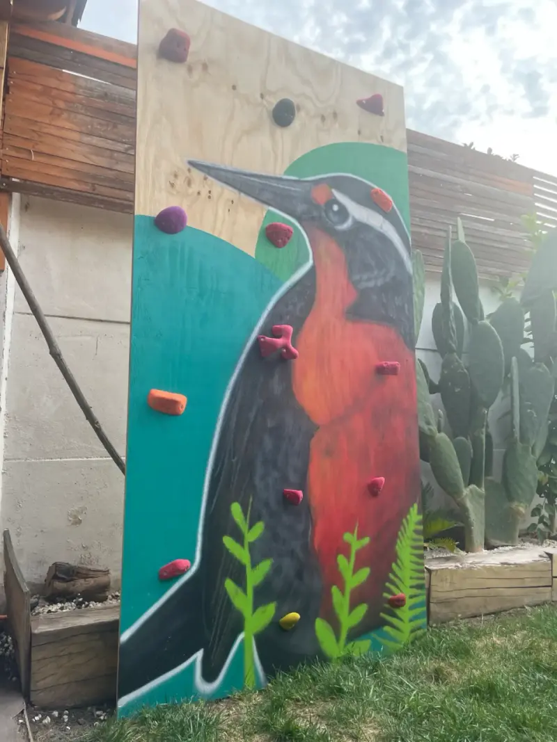 Panel de escalada para niños con diseño de aves - 3