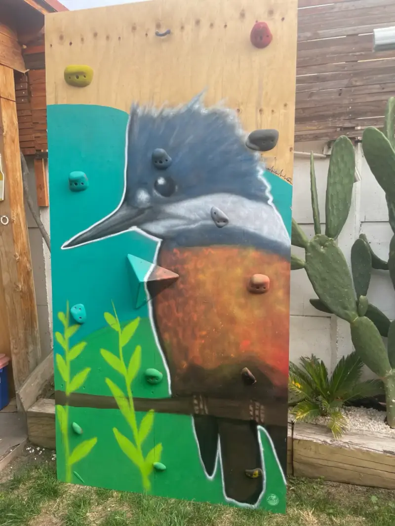 Panel de escalada para niños con diseño de aves - 4