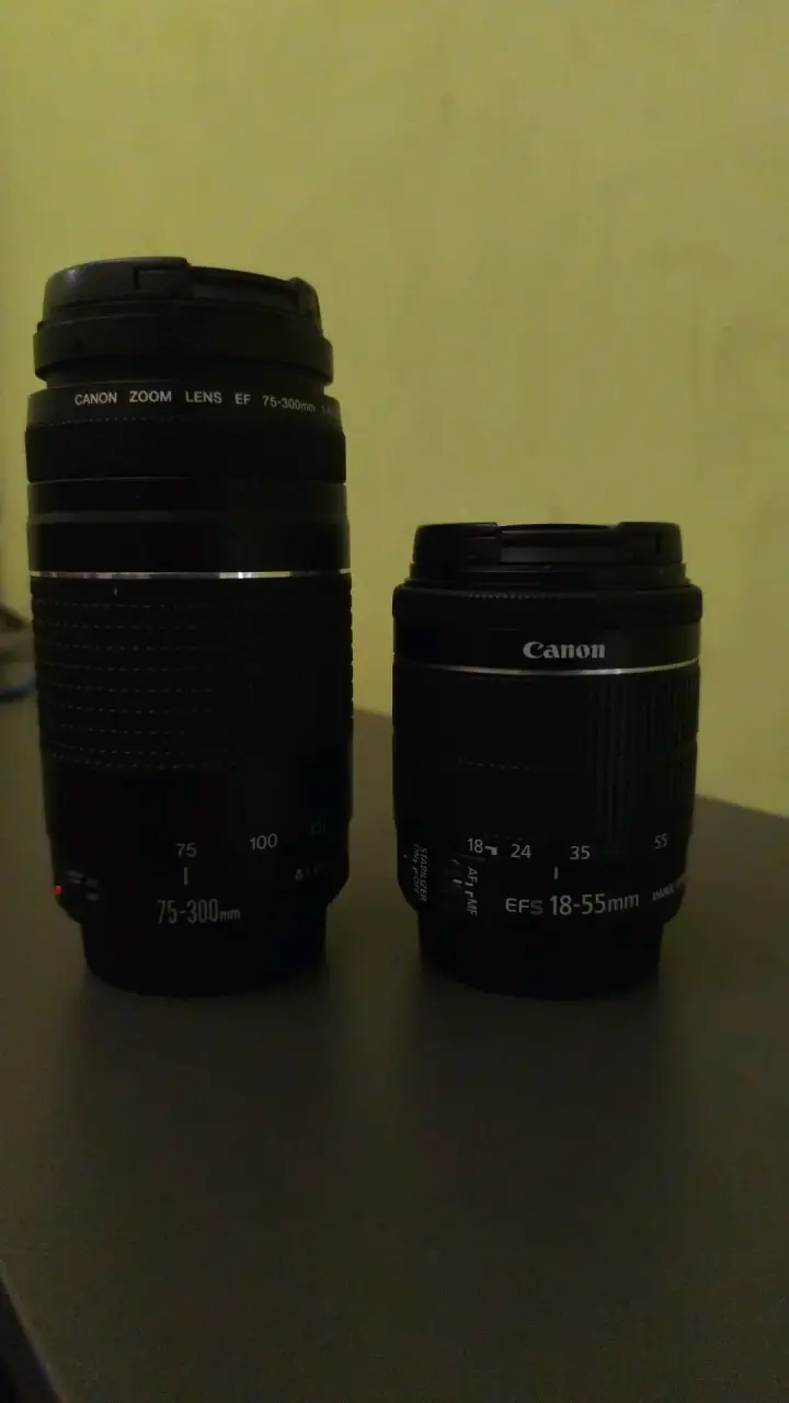 Kit de Cámaras Canon EOS con Flash Yongnuo - 6