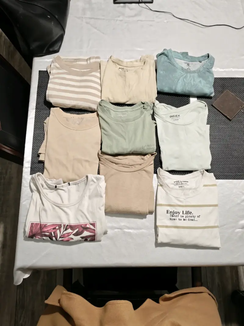 Lote de poleras casuales en varios colores