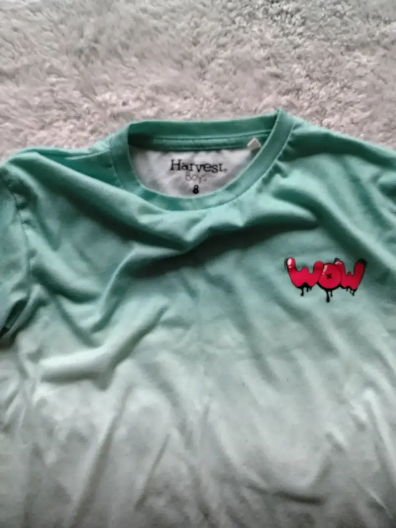 Polera degradada verde para niños Harvest - 2