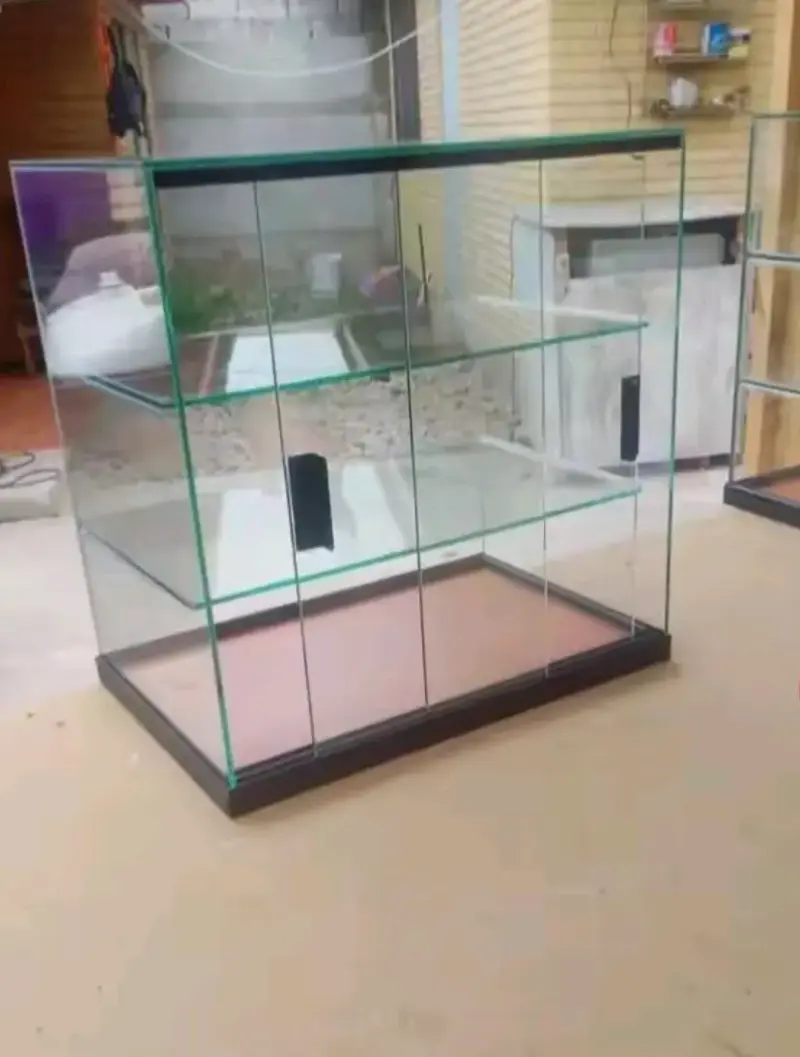 Vitrina de vidrio con estantes