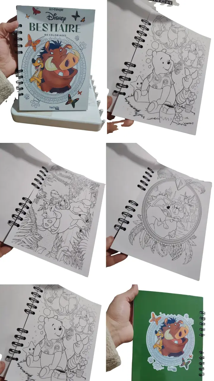 Libro de colorear Disney Bestiaire 60 ilustraciones - 1