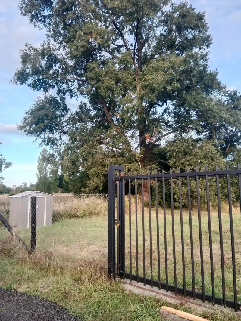 Se vende parcela cerca de osorno - 4