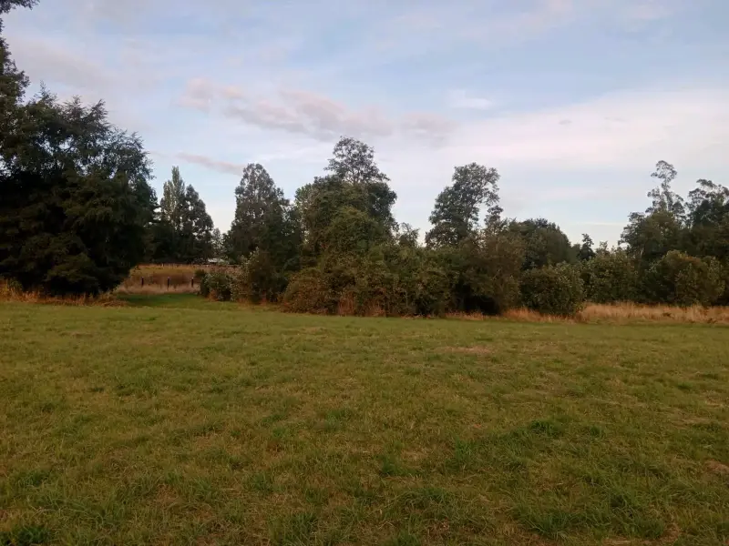 Se vende parcela cerca de osorno - 5