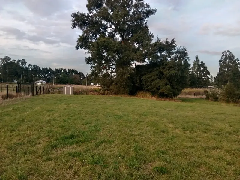 Se vende parcela cerca de osorno - 6