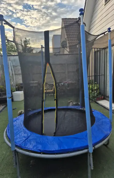 Trampolín con red de seguridad para niños - miniatura 1