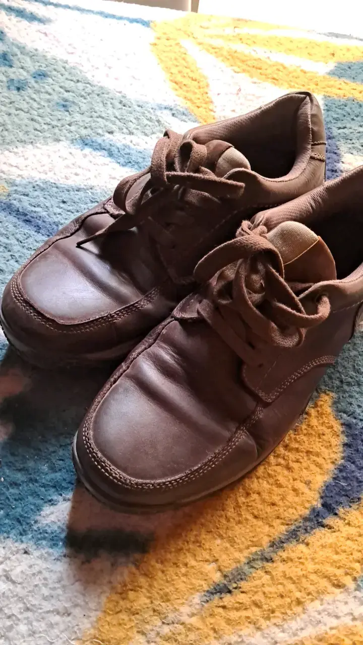 Zapatos de cuero Panama Jack marrón para hombre - 3