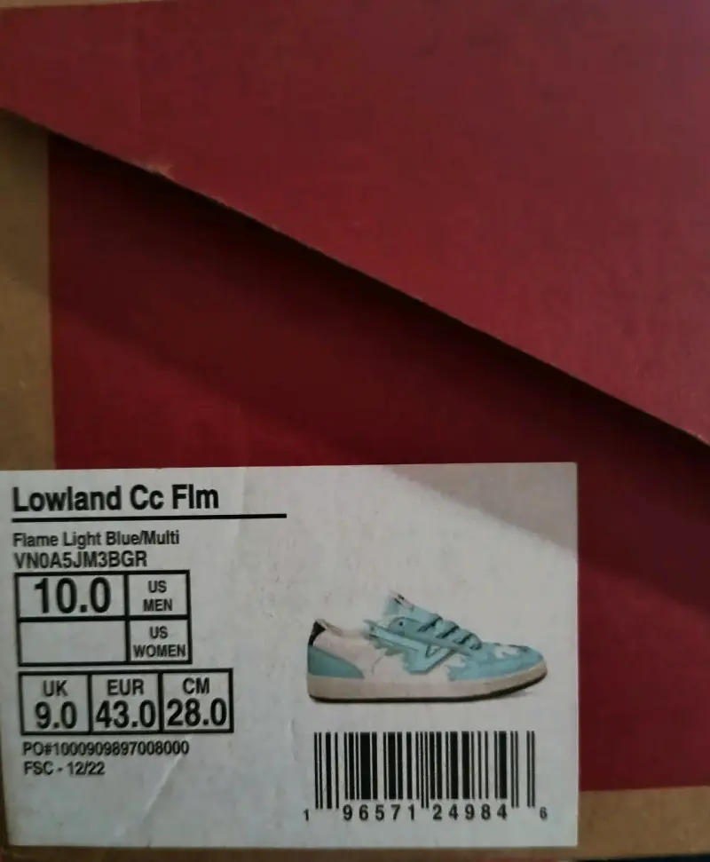 Zapatillas Vans Lowland CC Flame Azul Claro - 1