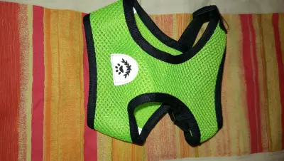 Arnés para perro pequeño verde ajustable - miniatura 1