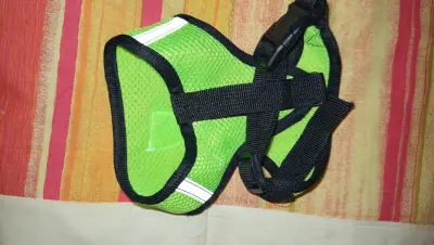 Arnés para perro pequeño verde ajustable - miniatura 2