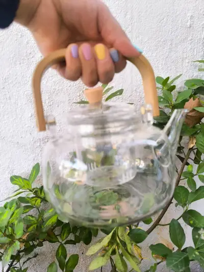 Tetera de vidrio con asa de madera - miniatura 1