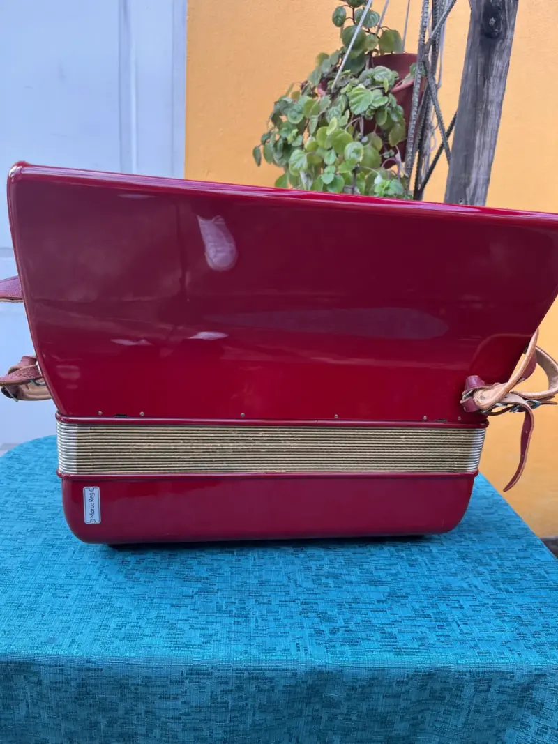 Acordeón Hohner Lucia II P - 2