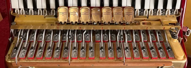 Acordeón Hohner Lucia II P - 4