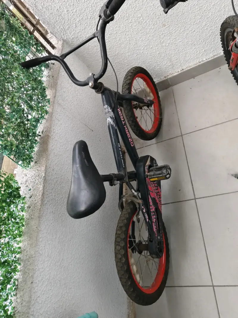 Bicicleta infantil Bianchi Goliat 16 DSX negra - 2
