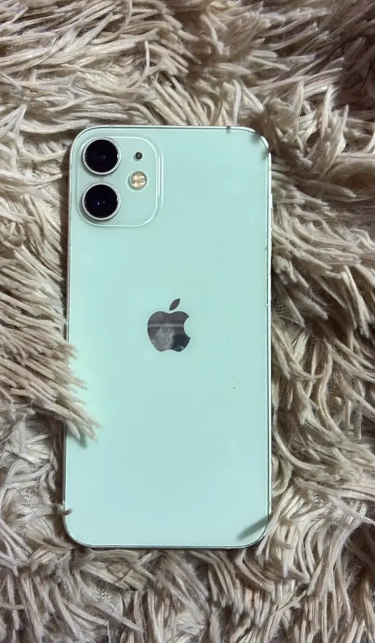 iPhone 12 mini - 1