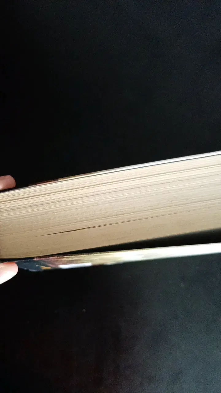 Libro 'La Sombra' de John Katzenbach en buen estado - 3