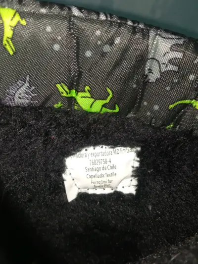 Botas de invierno para niños, diseño de dinosaur - miniatura 4