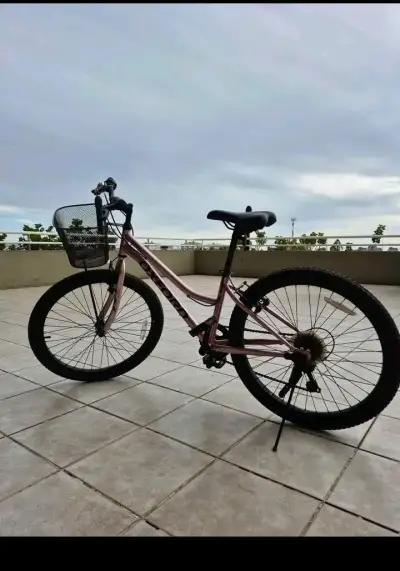Bicicleta oxford luna aro 24 rosa para niñas - miniatura 1
