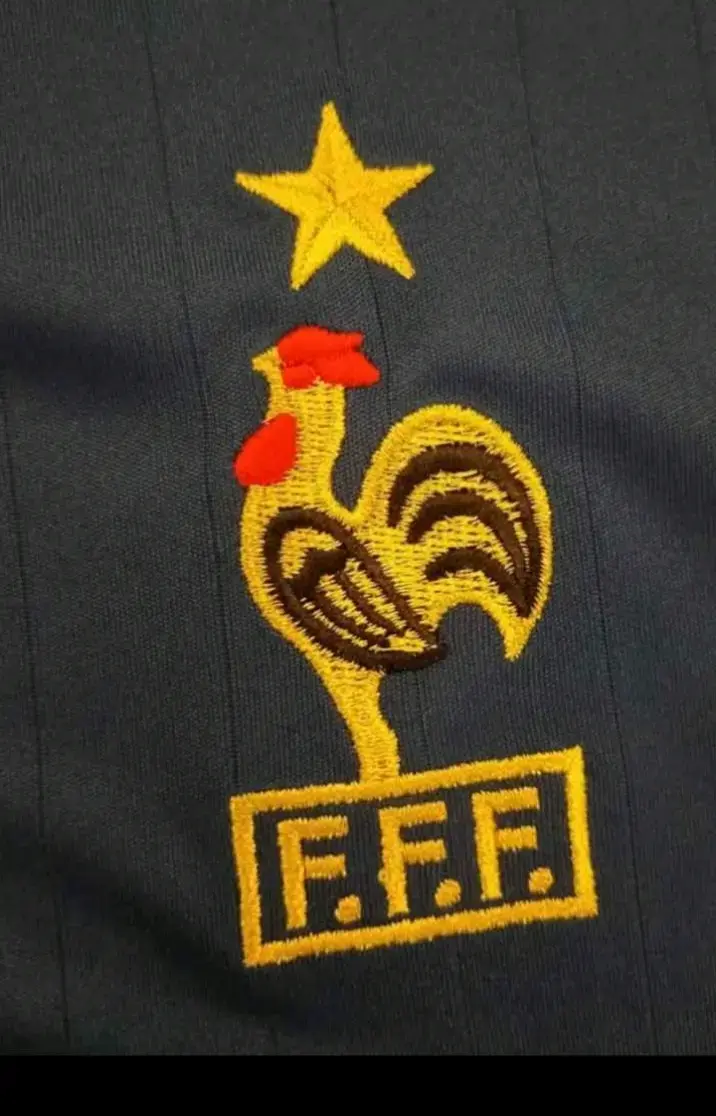 Camiseta Francia 2006 - 3